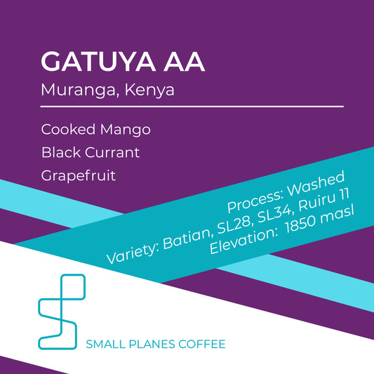 Kenya Gatuya AA