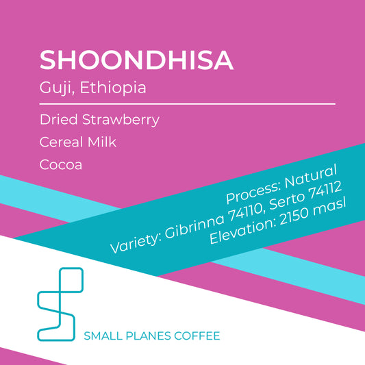 Ethiopia Shoondhisa